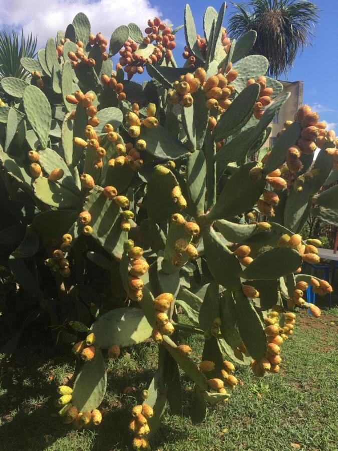 Il Giardino Degli Agrumi Vila Caserta Exterior foto