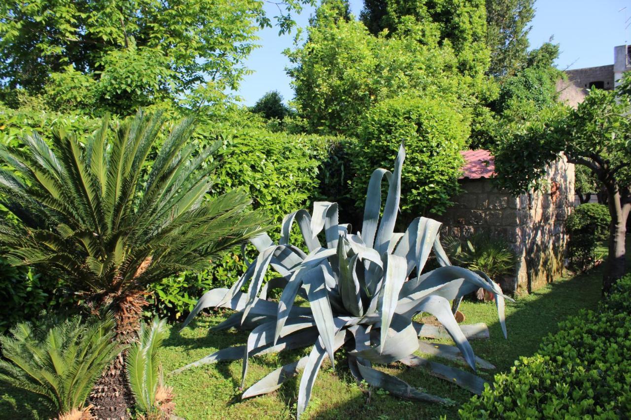 Il Giardino Degli Agrumi Vila Caserta Exterior foto