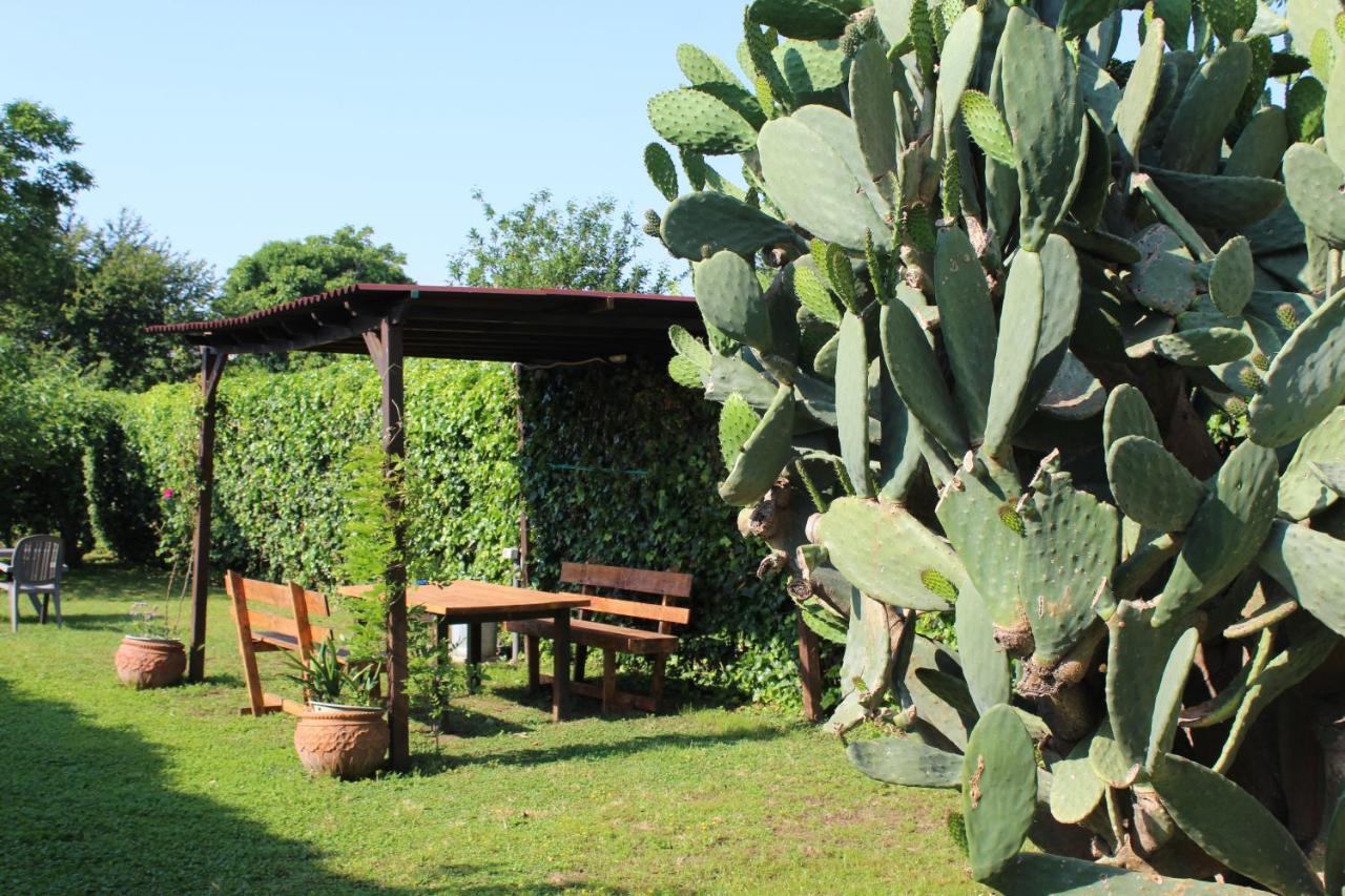 Il Giardino Degli Agrumi Vila Caserta Exterior foto