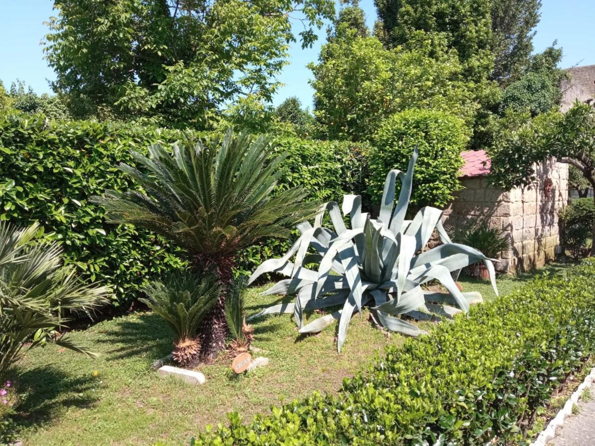 Il Giardino Degli Agrumi Vila Caserta Exterior foto