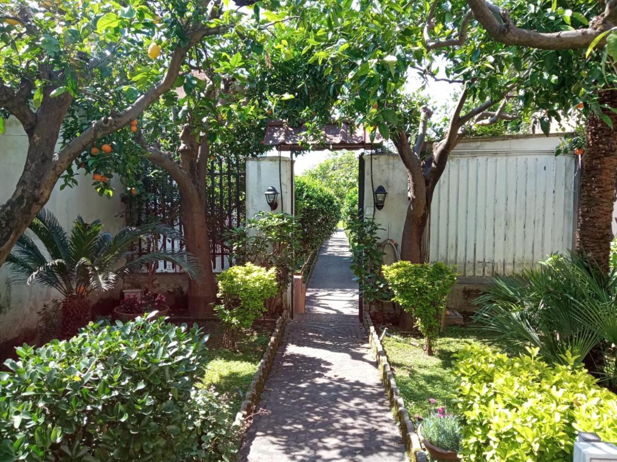 Il Giardino Degli Agrumi Vila Caserta Exterior foto