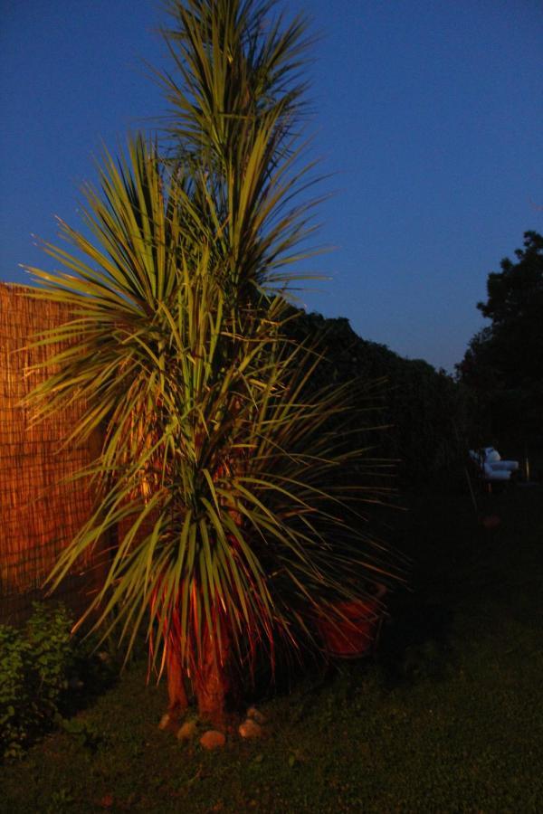 Il Giardino Degli Agrumi Vila Caserta Exterior foto