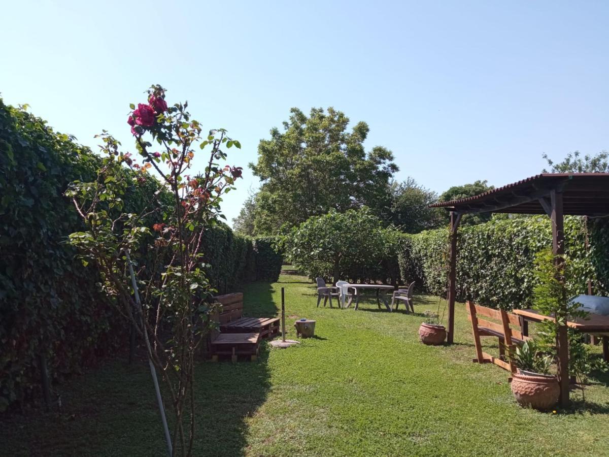 Il Giardino Degli Agrumi Vila Caserta Exterior foto