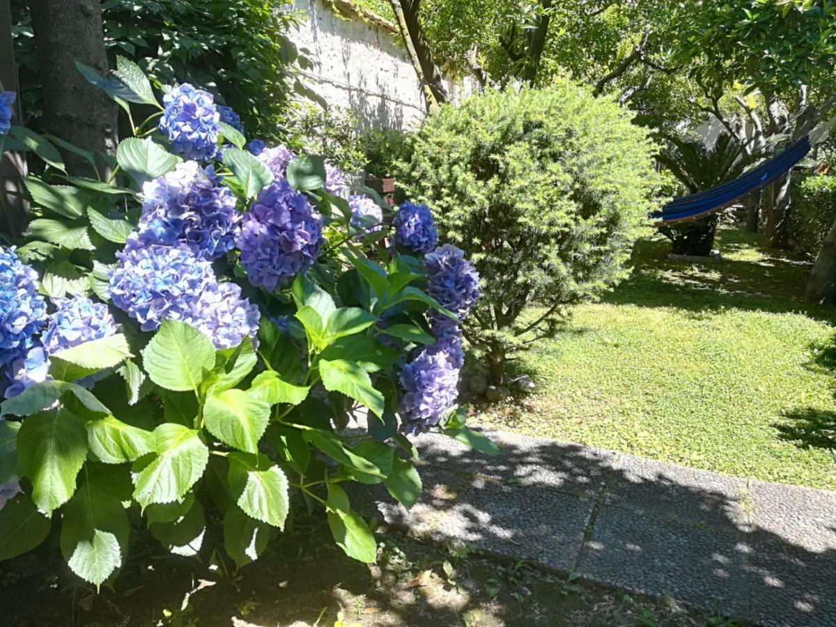 Il Giardino Degli Agrumi Vila Caserta Exterior foto