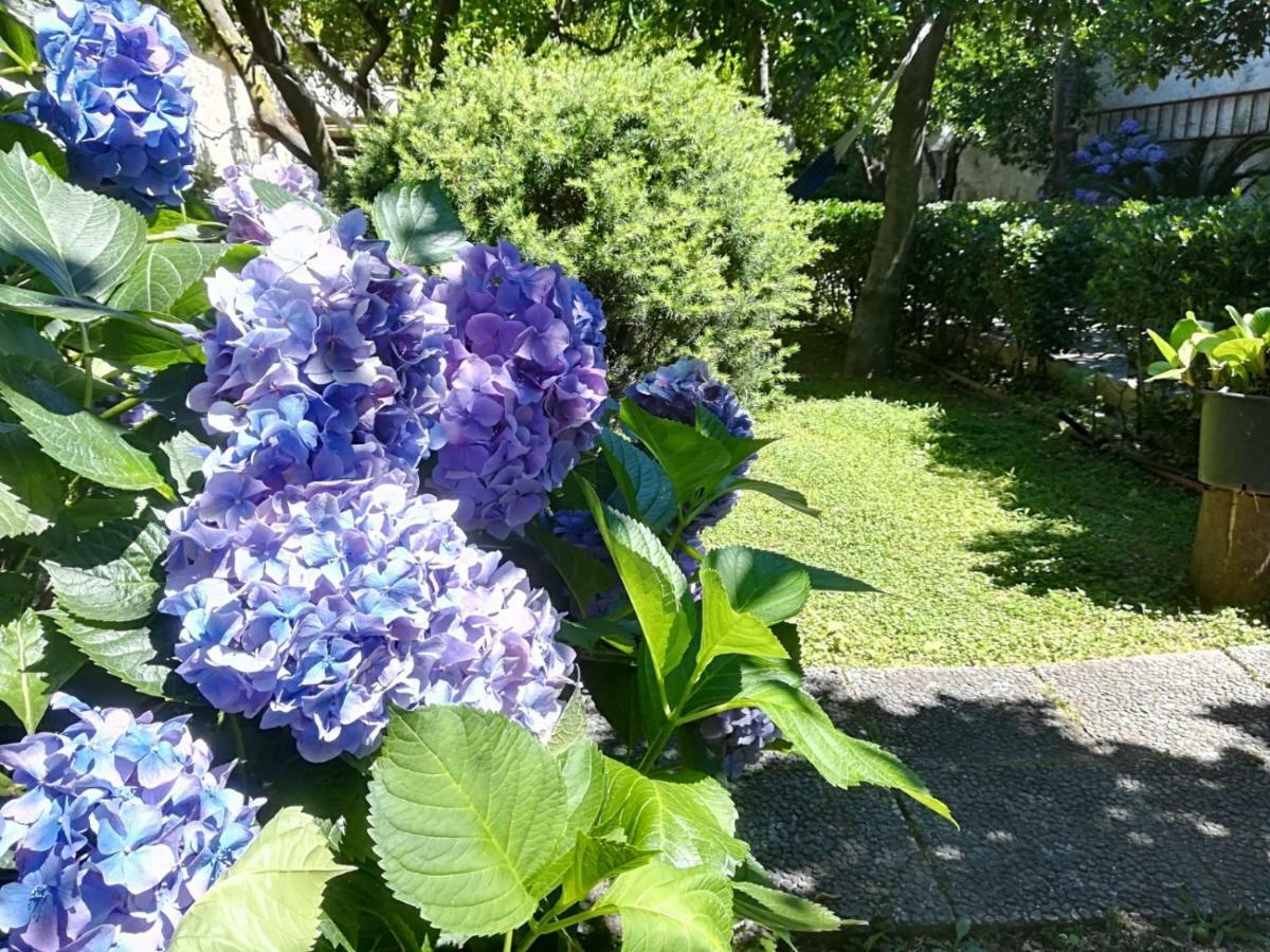 Il Giardino Degli Agrumi Vila Caserta Exterior foto